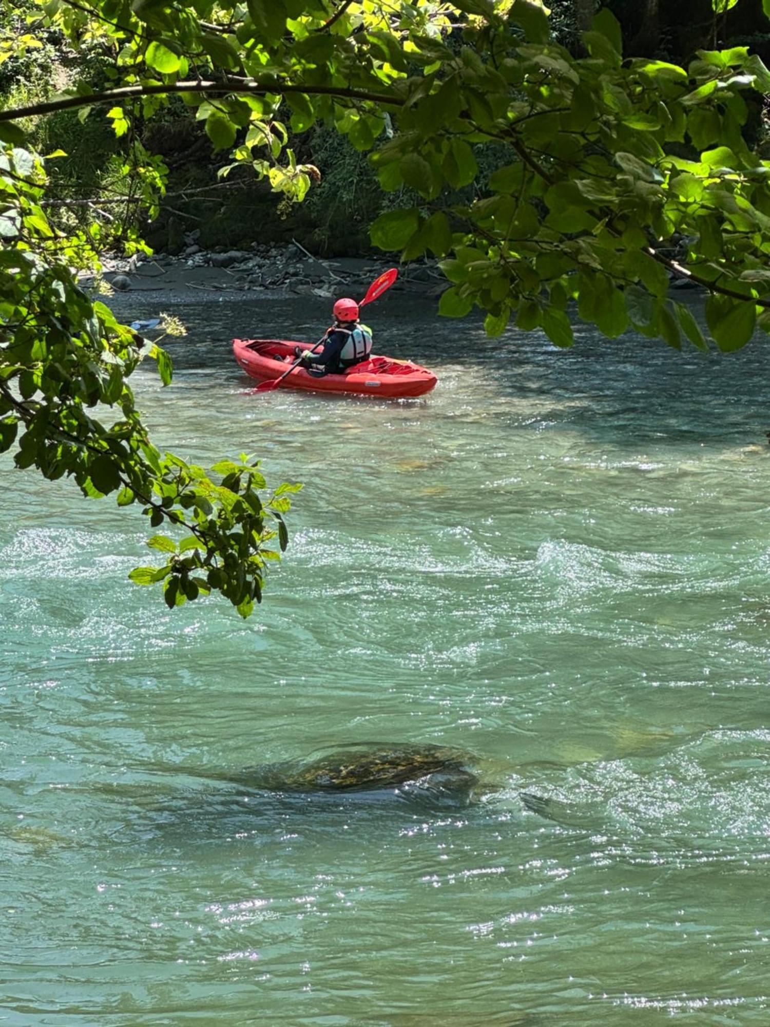 Lofer Mit Garten Und Schwimmbad Sankt Martin bei Lofer